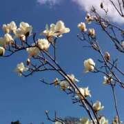 ヒメ日記 2026/03/09 14:47 投稿 蘭子 セクシーキャット 神田店