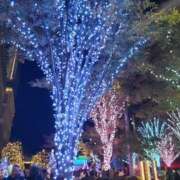 ヒメ日記 2026/04/19 22:49 投稿 蘭子 セクシーキャット 神田店