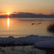 みこ 🎍謹賀新年🎍 セクシーキャット 神田店