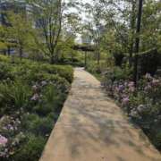 ヒメ日記 2025/09/17 14:30 投稿 つばき 新大阪秘密倶楽部