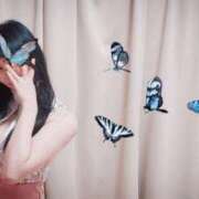 ヒメ日記 2026/02/13 23:55 投稿 つばき 新大阪秘密倶楽部