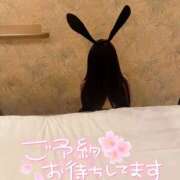 ヒメ日記 2025/04/11 23:19 投稿 りん abc＋
