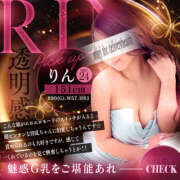 ヒメ日記 2026/02/12 21:28 投稿 りん abc＋