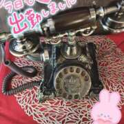 ヒメ日記 2026/08/29 17:00 投稿 りん abc＋