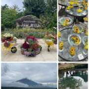 ヒメ日記 2025/08/12 16:23 投稿 ゆず 熟女家 十三店