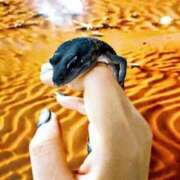 ヒメ日記 2025/09/06 10:56 投稿 ゆみ 快楽玉乱堂