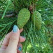 ヒメ日記 2025/09/10 14:16 投稿 ゆみ 快楽玉乱堂