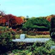 ヒメ日記 2025/12/06 11:06 投稿 ゆみ 快楽玉乱堂