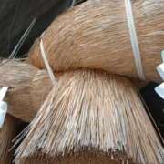 ゆみ ?????? 快楽玉乱堂