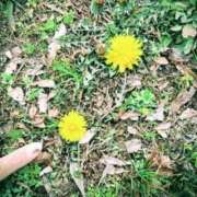 ゆみ ??? 快楽玉乱堂