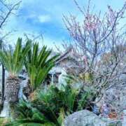 ゆみ ??? 快楽玉乱堂