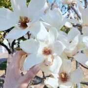 ヒメ日記 2026/03/21 18:36 投稿 ゆみ 快楽玉乱堂