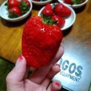 ヒメ日記 2026/03/29 23:51 投稿 ゆみ 快楽玉乱堂