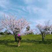 ヒメ日記 2026/04/13 10:31 投稿 ゆみ 快楽玉乱堂