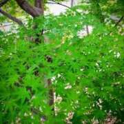 ヒメ日記 2026/04/30 10:26 投稿 ゆみ 快楽玉乱堂