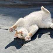 ヒメ日記 2025/01/07 13:26 投稿 じゅり 甘熟クラブ