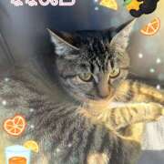 ヒメ日記 2026/02/22 15:15 投稿 じゅり 甘熟クラブ