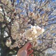 ヒメ日記 2025/03/04 09:08 投稿 乙葉もも 彩タマンサ（埼玉ハレ系）