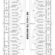 ヒメ日記 2025/07/17 14:45 投稿 乙葉もも 彩タマンサ（埼玉ハレ系）