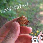 ヒメ日記 2025/08/03 15:42 投稿 乙葉もも 彩タマンサ（埼玉ハレ系）