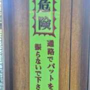 ヒメ日記 2025/10/16 09:03 投稿 乙葉もも 彩タマンサ（埼玉ハレ系）