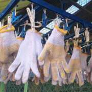 ヒメ日記 2026/01/23 06:42 投稿 乙葉もも 彩タマンサ（埼玉ハレ系）