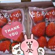 ヒメ日記 2026/03/10 08:00 投稿 乙葉もも 彩タマンサ（埼玉ハレ系）