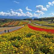 ヒメ日記 2026/10/05 09:56 投稿 赤坂麗来 五十路マダム エクスプレス京都店
