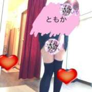 ヒメ日記 2026/07/22 03:43 投稿 ともか Club Paradise（クラブパラダイス）