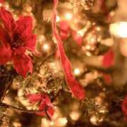 ヒメ日記 2024/12/15 12:20 投稿 しずく ふぞろいの人妻たち