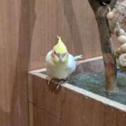 ヒメ日記 2024/12/28 12:10 投稿 しずく ふぞろいの人妻たち