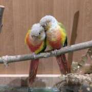 ヒメ日記 2025/02/11 13:50 投稿 しずく ふぞろいの人妻たち