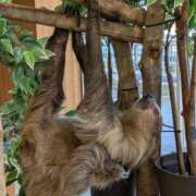 ヒメ日記 2025/02/21 11:20 投稿 しずく ふぞろいの人妻たち