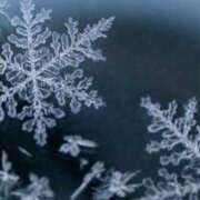 ヒメ日記 2025/03/04 12:40 投稿 しずく ふぞろいの人妻たち