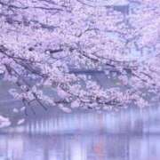 ヒメ日記 2025/04/01 11:10 投稿 しずく ふぞろいの人妻たち