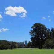 ヒメ日記 2025/04/22 12:10 投稿 しずく ふぞろいの人妻たち