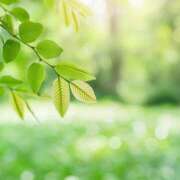 ヒメ日記 2025/06/07 11:10 投稿 しずく ふぞろいの人妻たち