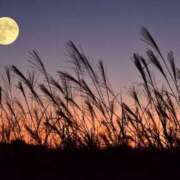 ヒメ日記 2025/09/02 11:01 投稿 しずく ふぞろいの人妻たち