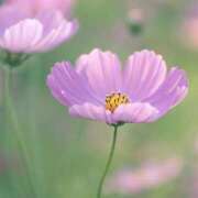 ヒメ日記 2025/09/14 11:10 投稿 しずく ふぞろいの人妻たち