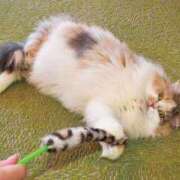 ヒメ日記 2025/10/07 16:10 投稿 しずく ふぞろいの人妻たち