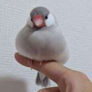 ヒメ日記 2025/10/29 14:30 投稿 しずく ふぞろいの人妻たち