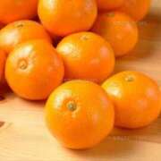 ヒメ日記 2025/11/05 14:40 投稿 しずく ふぞろいの人妻たち