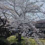 ヒメ日記 2026/04/01 13:10 投稿 しずく ふぞろいの人妻たち