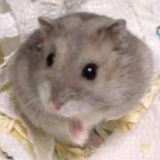 しずく こんにちは(*^^*) ふぞろいの人妻たち