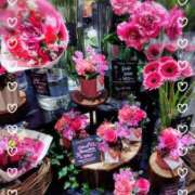 ヒメ日記 2025/02/16 14:42 投稿 かなで 奥様はエンジェル　立川店