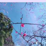 ヒメ日記 2025/02/28 22:58 投稿 かなで 奥様はエンジェル　立川店