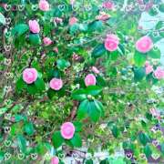 ヒメ日記 2025/03/31 21:56 投稿 かなで 奥様はエンジェル　立川店