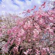 ヒメ日記 2025/04/27 03:16 投稿 かなで 奥様はエンジェル　立川店