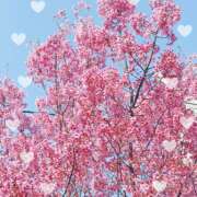 ヒメ日記 2026/04/01 14:04 投稿 かなで 奥様はエンジェル　立川店