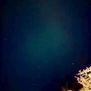 ヒメ日記 2025/04/01 22:46 投稿 みづき ハロウィン